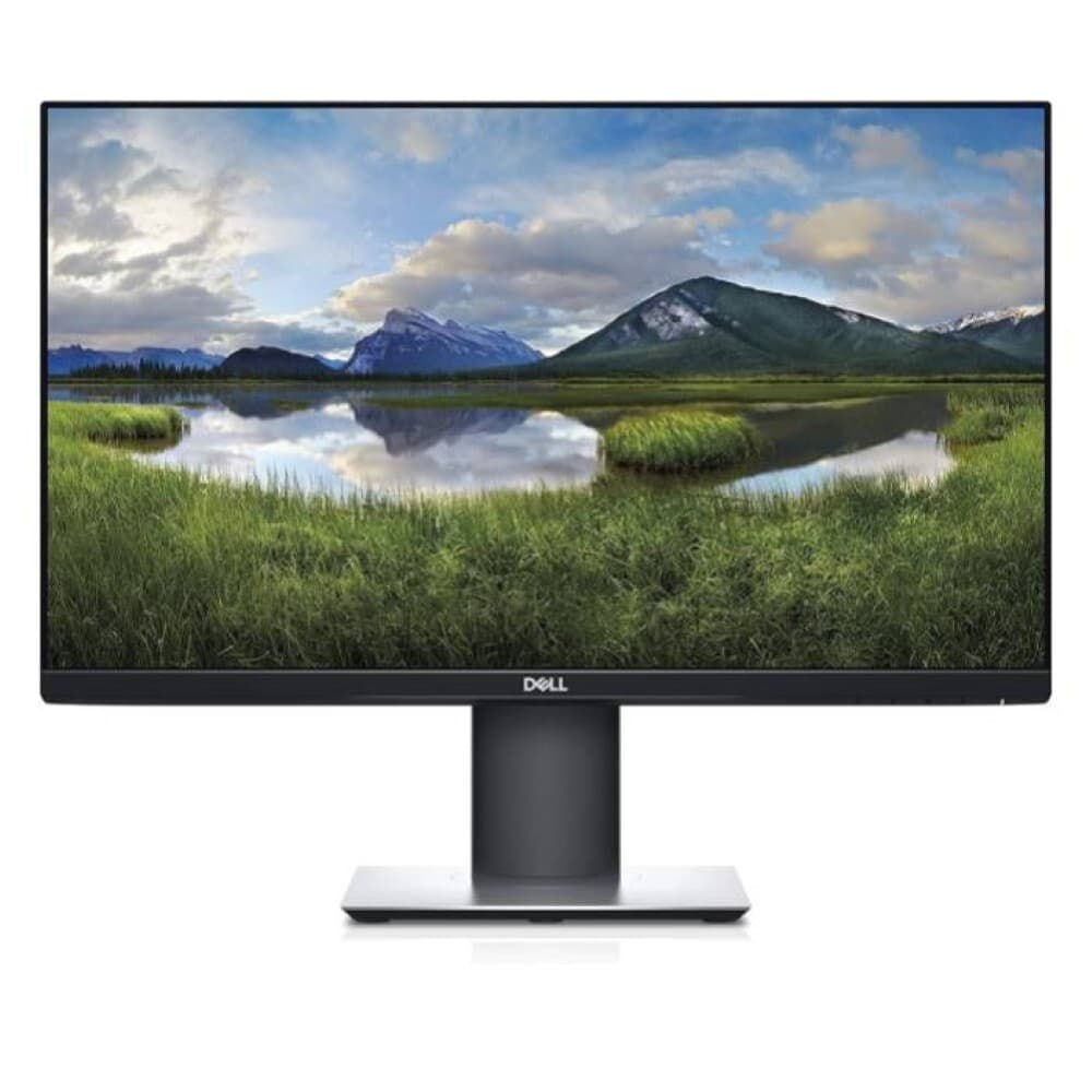 Dell Professional P2319H - 23 pollici - 1920x1080 - DP - HDMI - VGA - Nero
