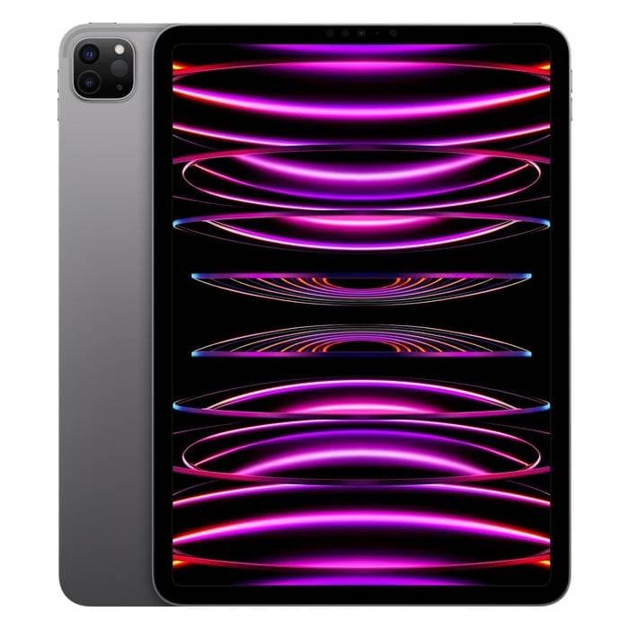 Apple iPad Pro 4 (2022) - 11 pollici - 256 GB - Grigio siderale - Garanzia di 2 anni