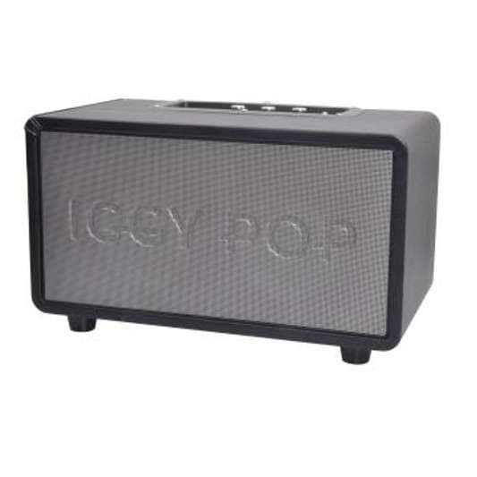 Altoparlanti Bluetooth Iggy Pop YP 70 - Grigio