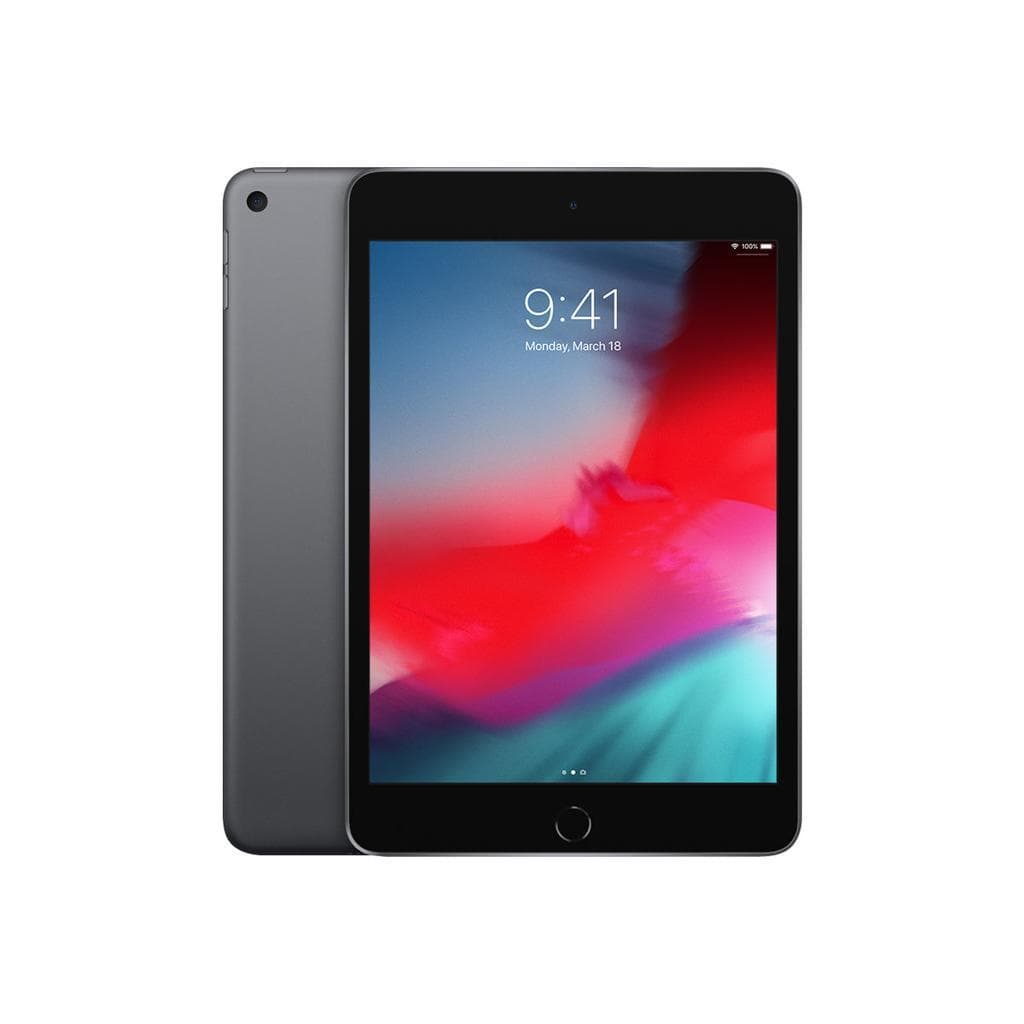 iPad mini 5 (2019, A12 series)