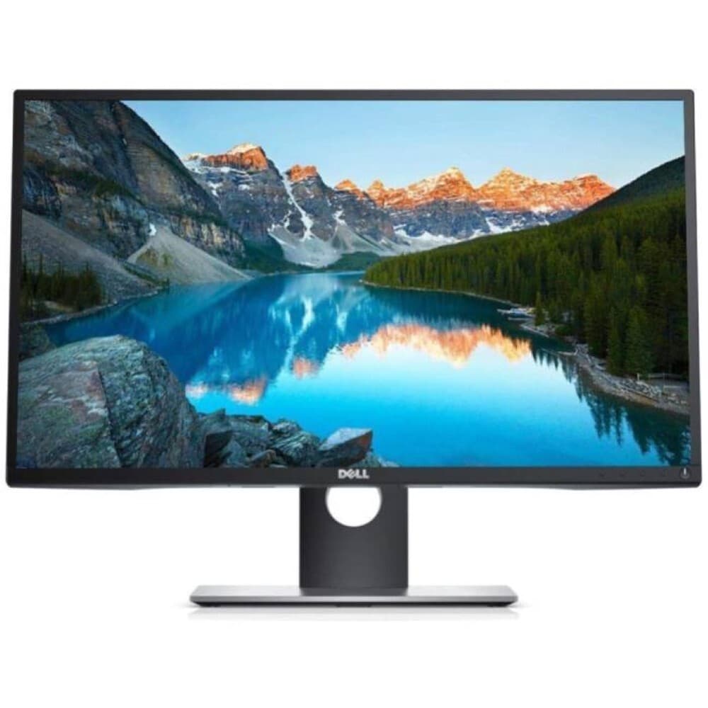 Dell Professional P2417H - 24 pollici - 1920x1080 - DP - HDMI - VGA - Nero