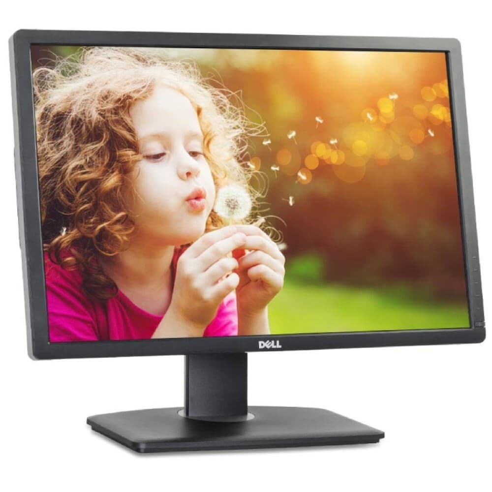 Dell UltraSharp U2413F - 24 pollici - 1920x1200 - DP - DVI - HDMI - Nero