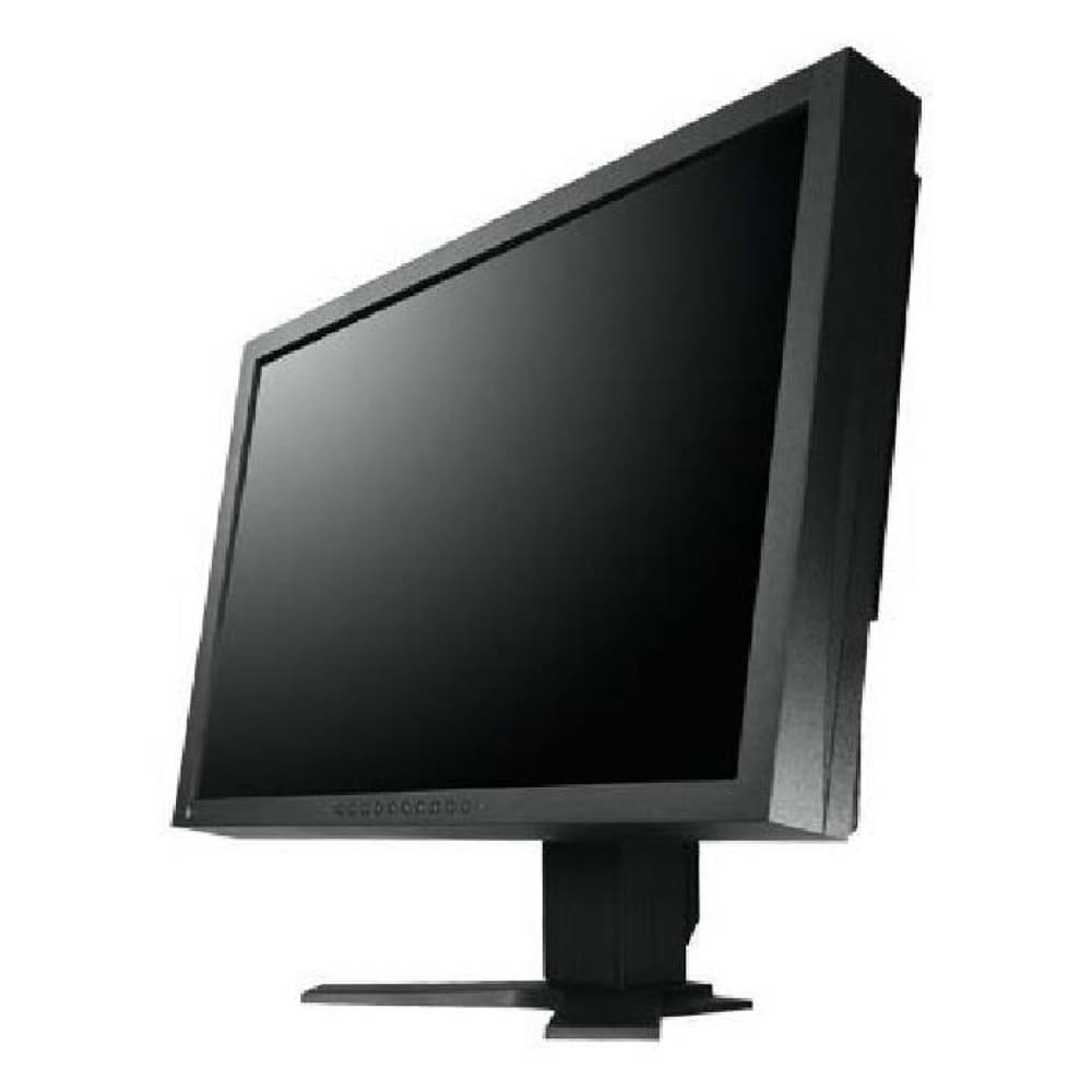 EIZO FlexScan S2402W - 24 pollici - 1920x1200 - DVI - VGA - Nero