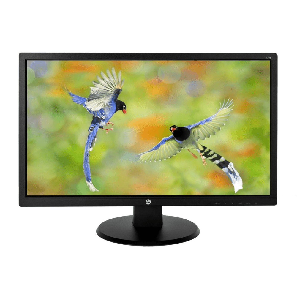 HP V243 - 24 inch - 1920x1080 - VGA - Zwart