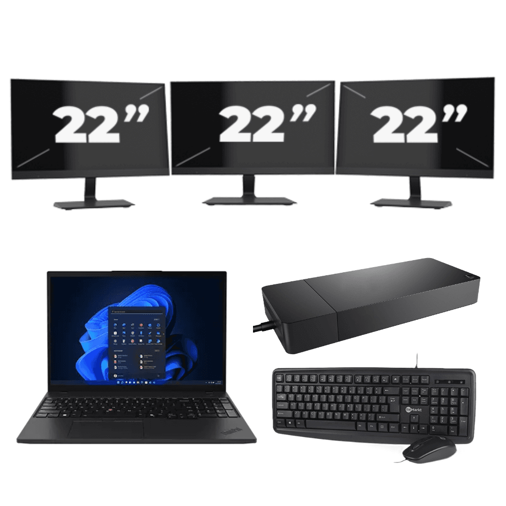 Lenovo ThinkPad T495 - AMD Ryzen 5 PRO 3500U - 14 pollici - 16 GB RAM - 256 GB SSD - Windows 11 Home + 3 monitor da 22 pollici